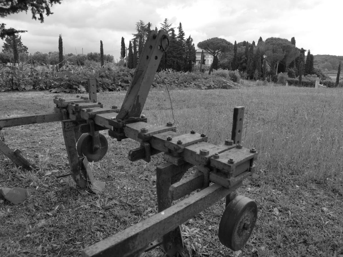 Masseria Le Querciole Fauglia Exterior foto